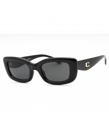 Coach Women's Sunglasses - Black Plastic Cat Eye Full Rim Frame | 0HC8390U 500287 Dans la société mordern