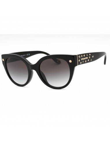 Coach Women's Sunglasses - Black Plastic Cat Eye Full Rim Frame | 0HC8393U 50023C de l' environnement