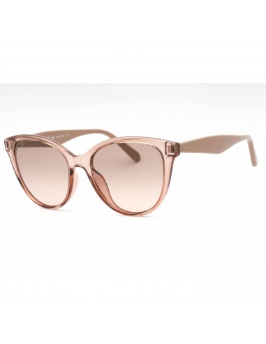 Salvatore Ferragamo Women's Sunglasses - Crystal Sand Plastic Frame | SF1073S 278 la colonne vertébrale