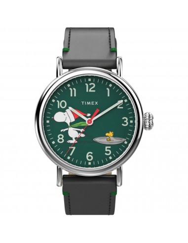 Timex Men's Watch - Standard Peanuts Snoopy Ice Skating Green Dial | TW2V60200VQ du meilleur 