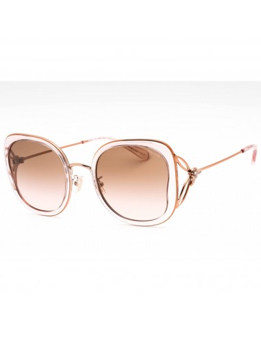 Coach Women's Sunglasses - Transparent Pink/Rose Gold Full Rim Frame | 0HC7153B 557511 Comparez et commandez 