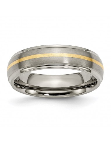 Titanium Ridged Edge 14k Yellow Inlay 6mm Brushed/Polished Band | TB100 pas cher chine