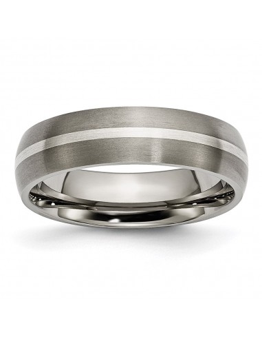 Titanium Sterling Silver Inlay 6mm Brushed Band | TB139 plus qu'un jeu 