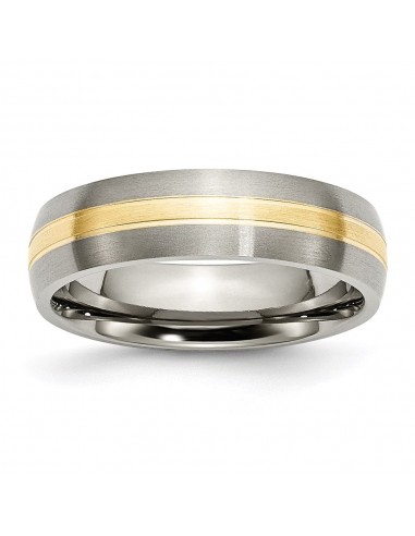 Titanium Grooved 14k Yellow Inlay 6mm Brushed Band | TB140 Faites des économies