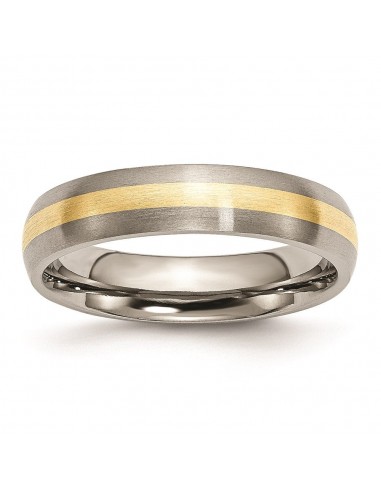 Titanium 14k Yellow Inlay 5mm Brushed Band | TB19 votre restaurant rapide dans 