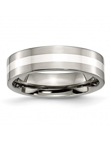 Titanium Sterling Silver Inlay Flat 6mm Polished Band | TB208 s'inspire de l'anatomie humaine