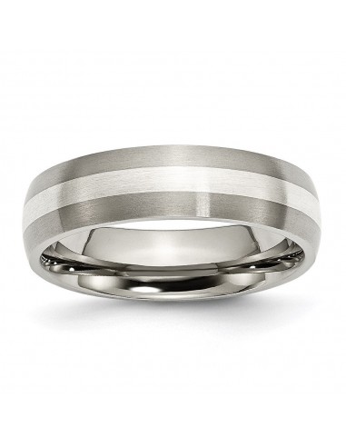 Titanium Sterling Silver Inlay 6mm Brushed Band | TB210 offre 