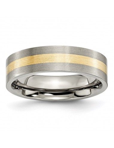 Titanium Flat 14k Yellow Inlay 6mm Brushed Band | TB217 pour bénéficier 