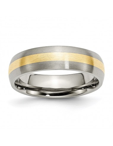 Titanium 14k Yellow Inlay 6mm Brushed Band | TB222 2023